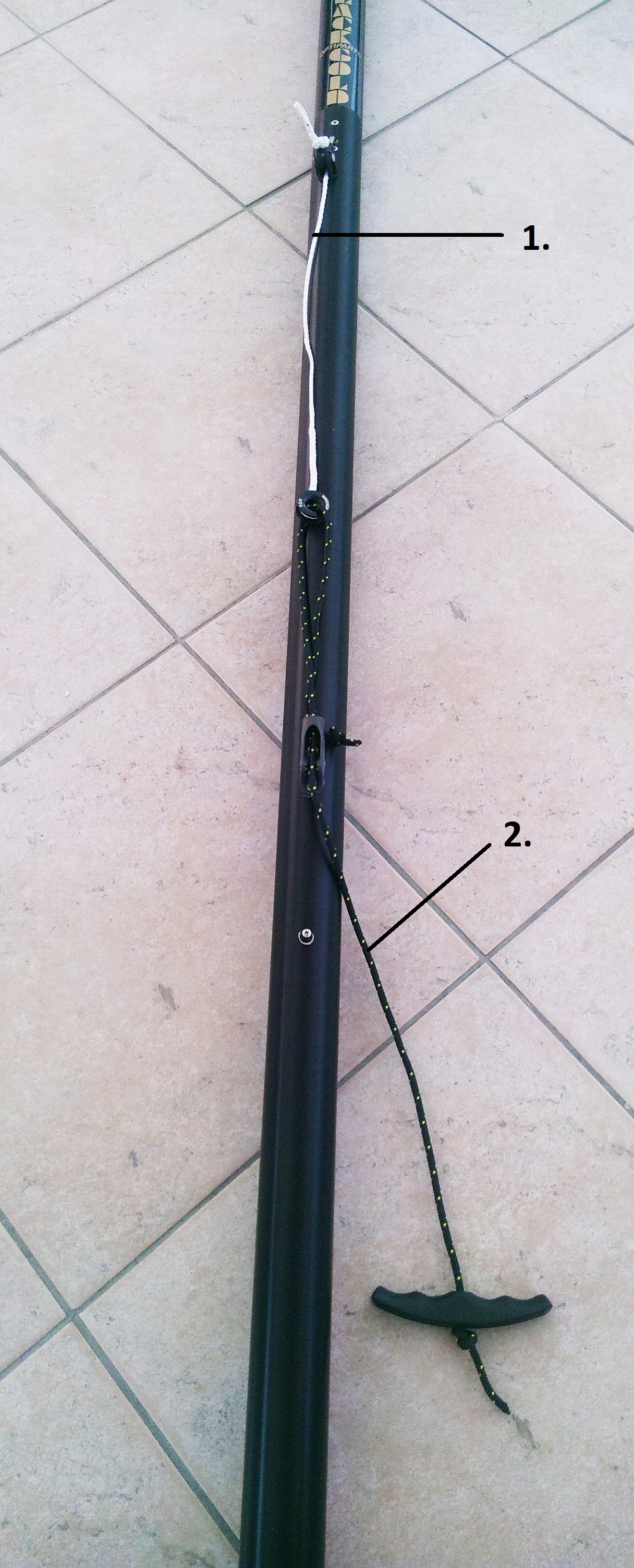 arboc_szamozott_blog